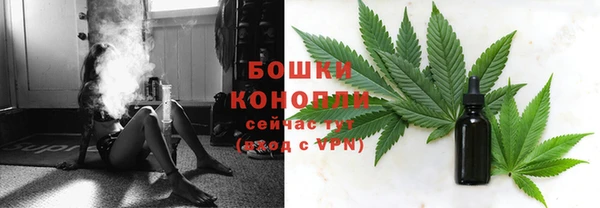 мет Дмитриев