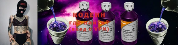 амф Дмитров