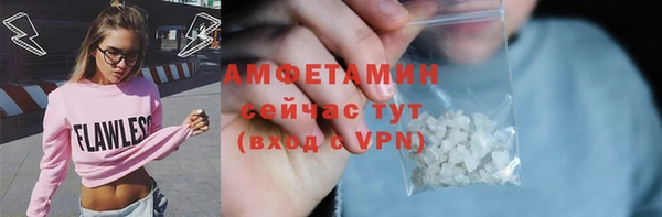 амф Дмитров