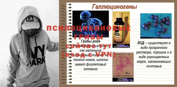 мет Дмитриев