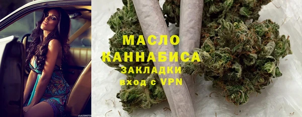 мет Дмитриев