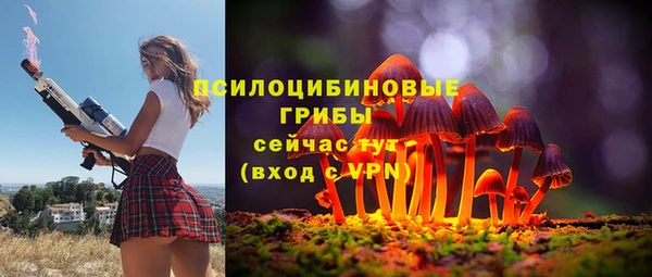 амф Дмитров