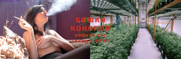 амф Дмитров
