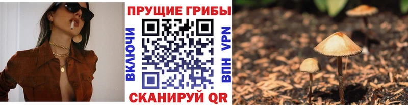 Псилоцибиновые грибы прущие грибы  Купить  Беломорск 